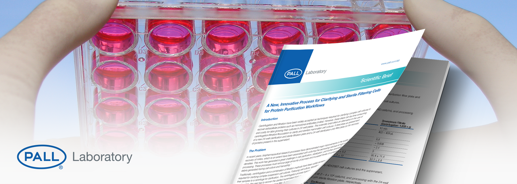 Clarifying and Filtering Cells for Protein Purification